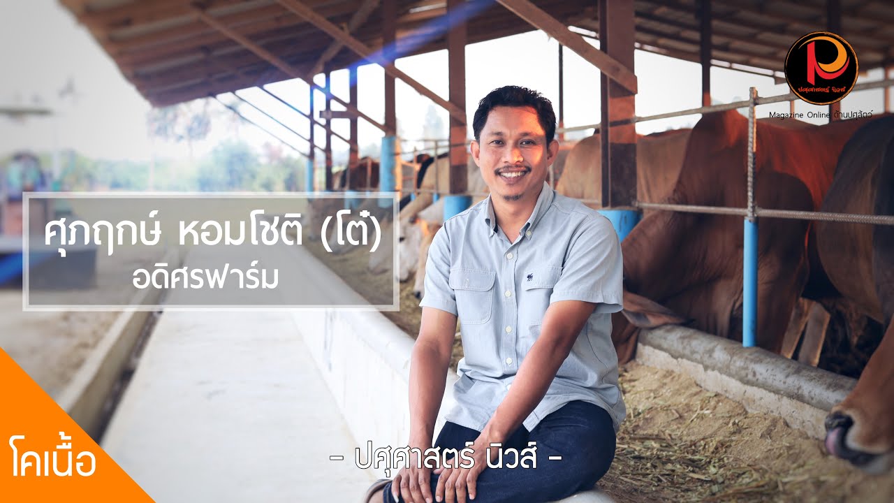อดิศรฟาร์ม (เพชรบุรี) ขุนวัวกว่า 700 ตัว ป้อนตลาดเนื้อโคคุณภาพ | ปศุศาสตร์ นิวส์