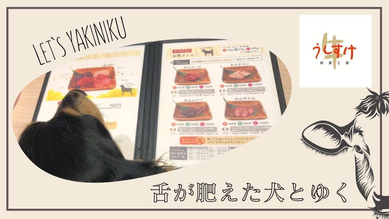 【うしすけ】グルメなカニンヘンダックスココと焼肉に来てみたらまさかの展開に