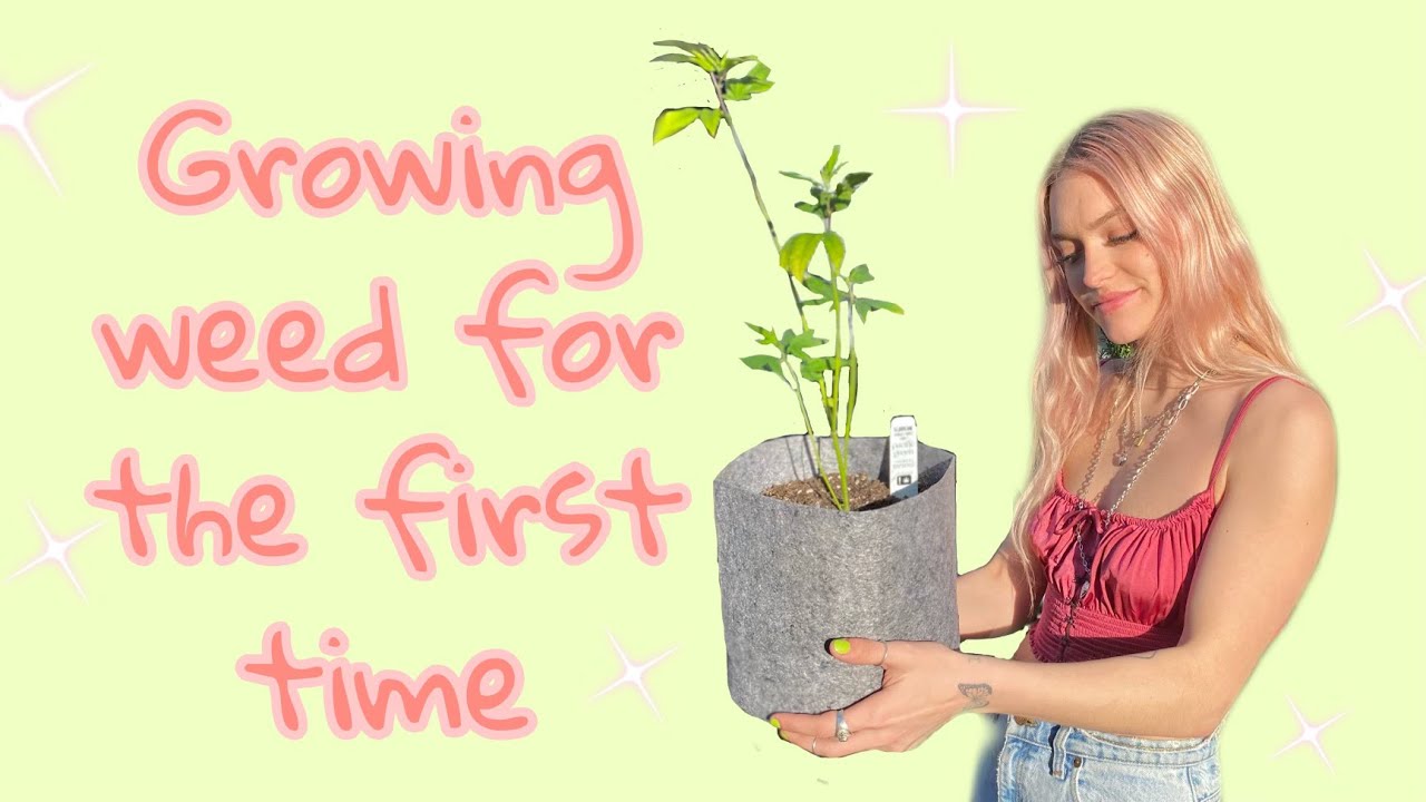 Growing Weed For The First Time :)
