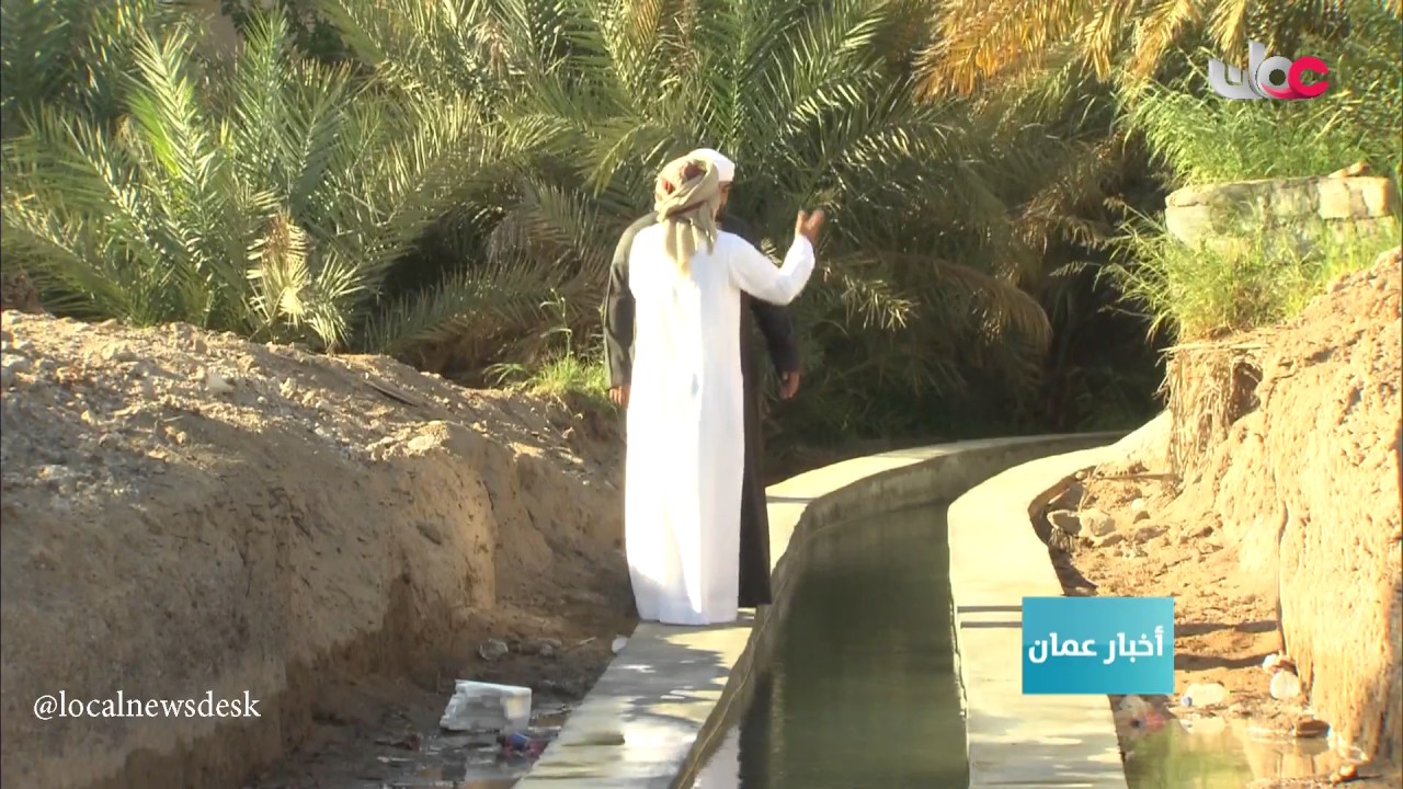 فلج صعراء بولاية البريمي يتدفق بعد انقطاع دام 15 عاما