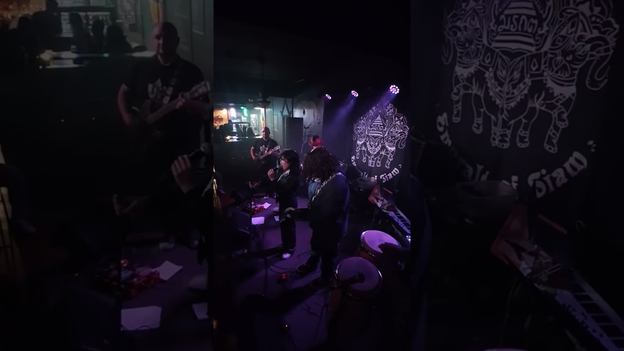 Hotel California Cover - Silence in the trees @silenceinthetrees6393 