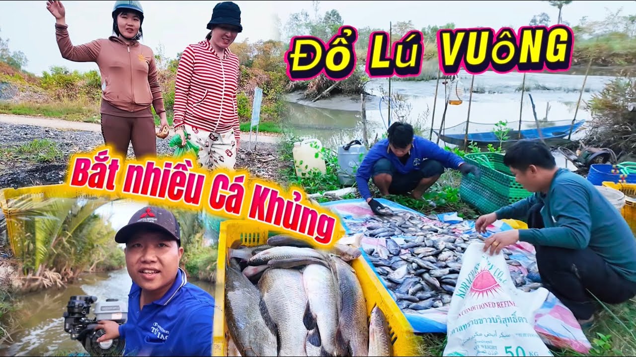 Thuốc Cá Cải Tạo Vuông Vào Ban Đêm Bắt Được Nhiều Cá To Khủng…