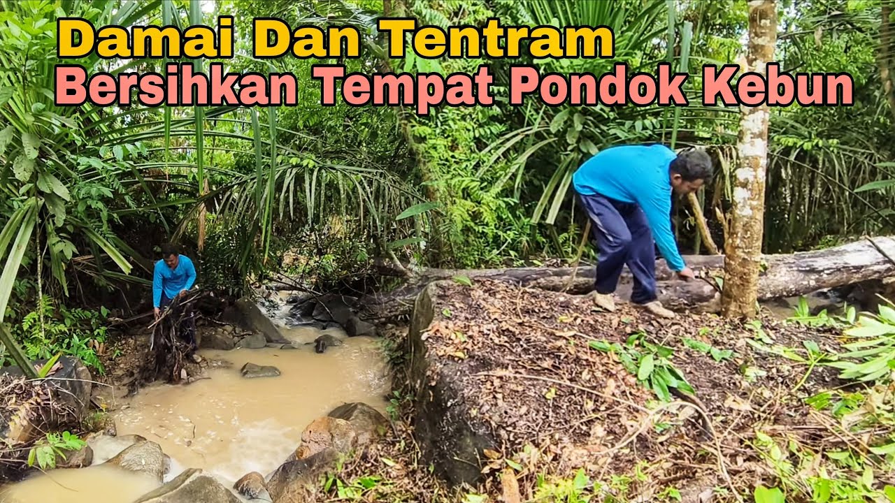Memanjakan Mata||Damai dan tentram bersihkan tempat Pondok kebun