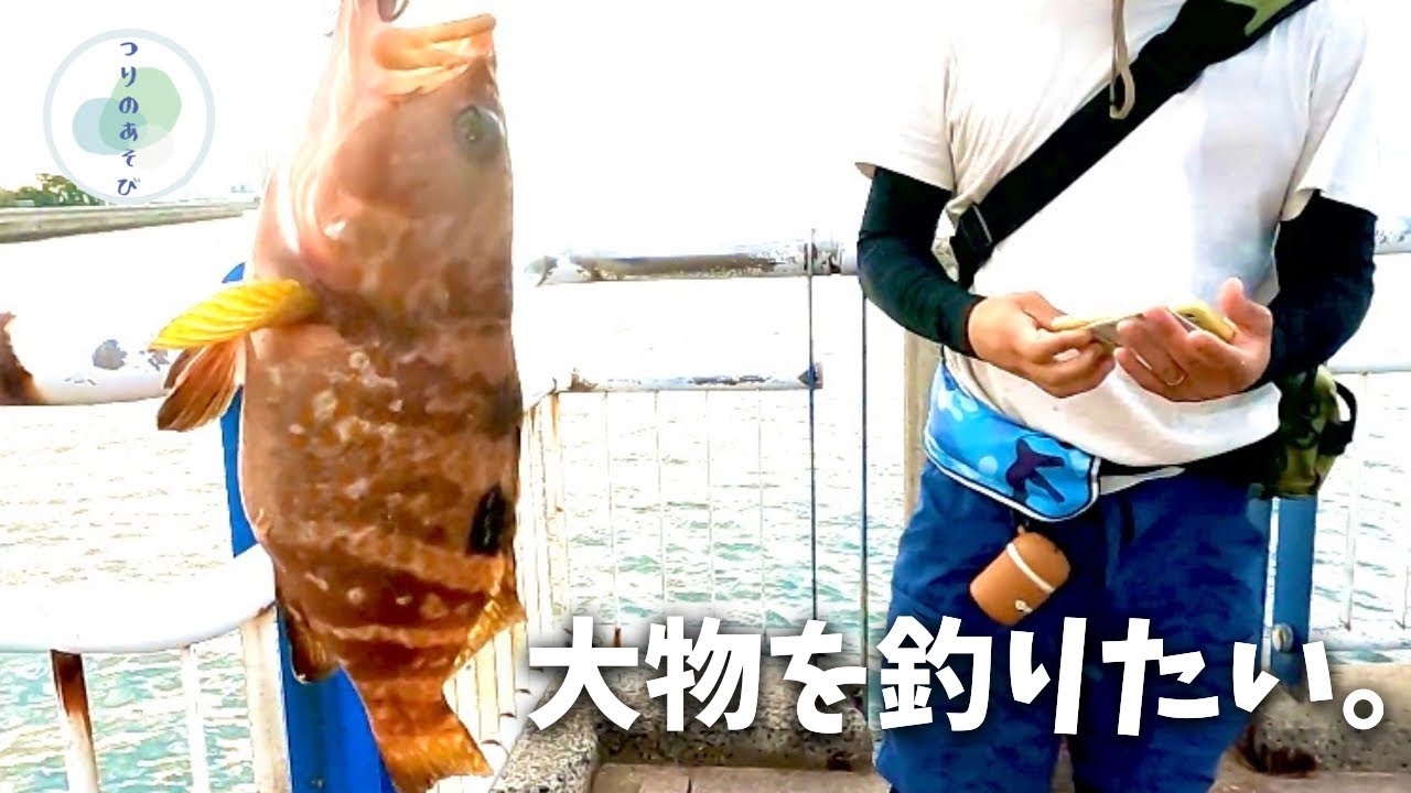 鯵の泳がせ釣りで大物を狙った結果