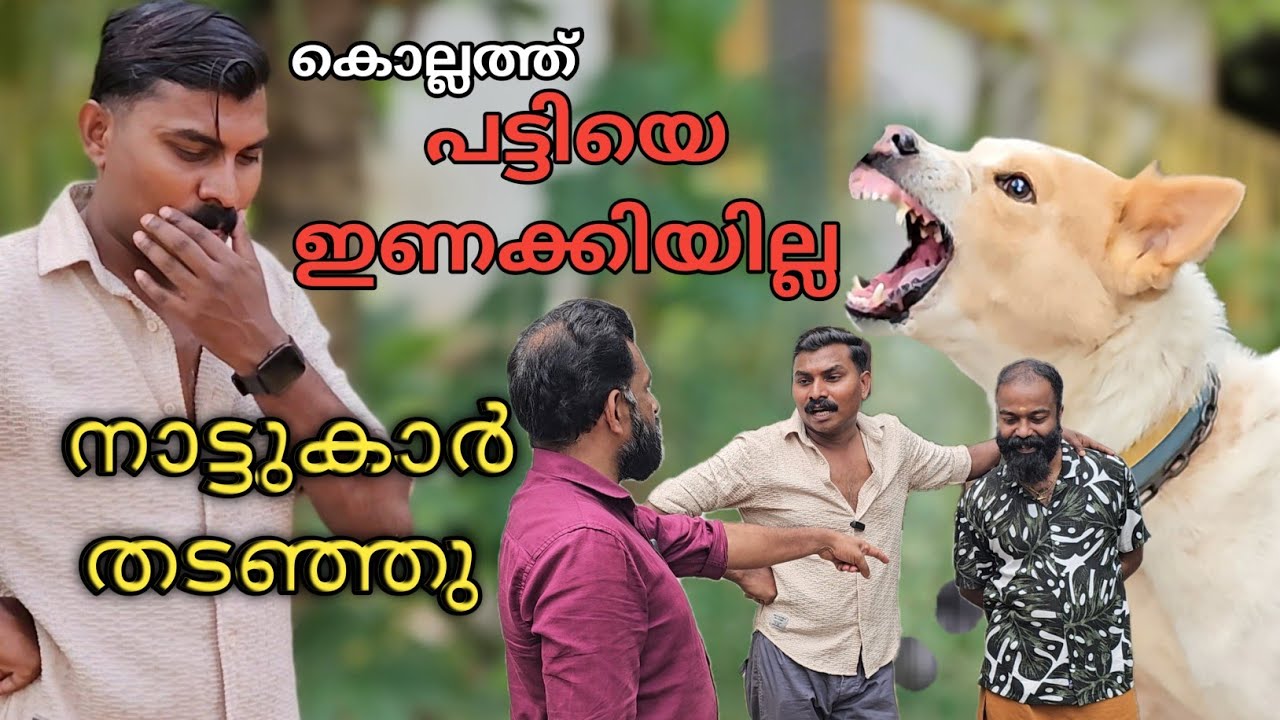 നീ ഇണക്കിട്ട് പോയാൽ മതി.. Dog challenge.. Leash Talks