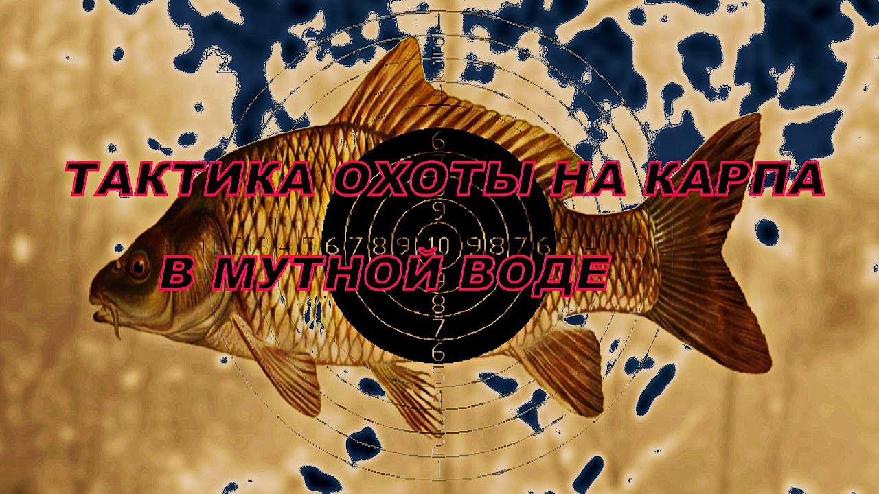 Тактика охоты в мутной воде.