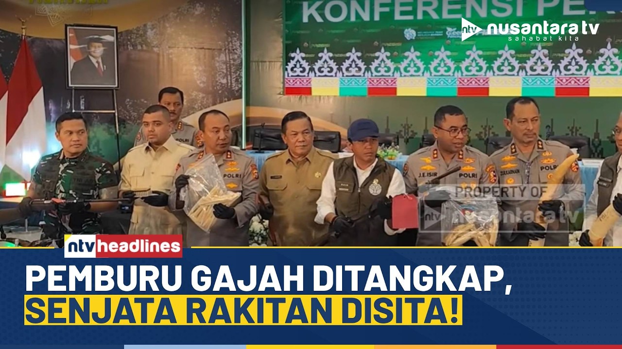 [LIVE] Bongkar Sindikat Perburuan Gajah Sumatera, Belasan Pelaku Ditangkap! | NTV HEADLINES