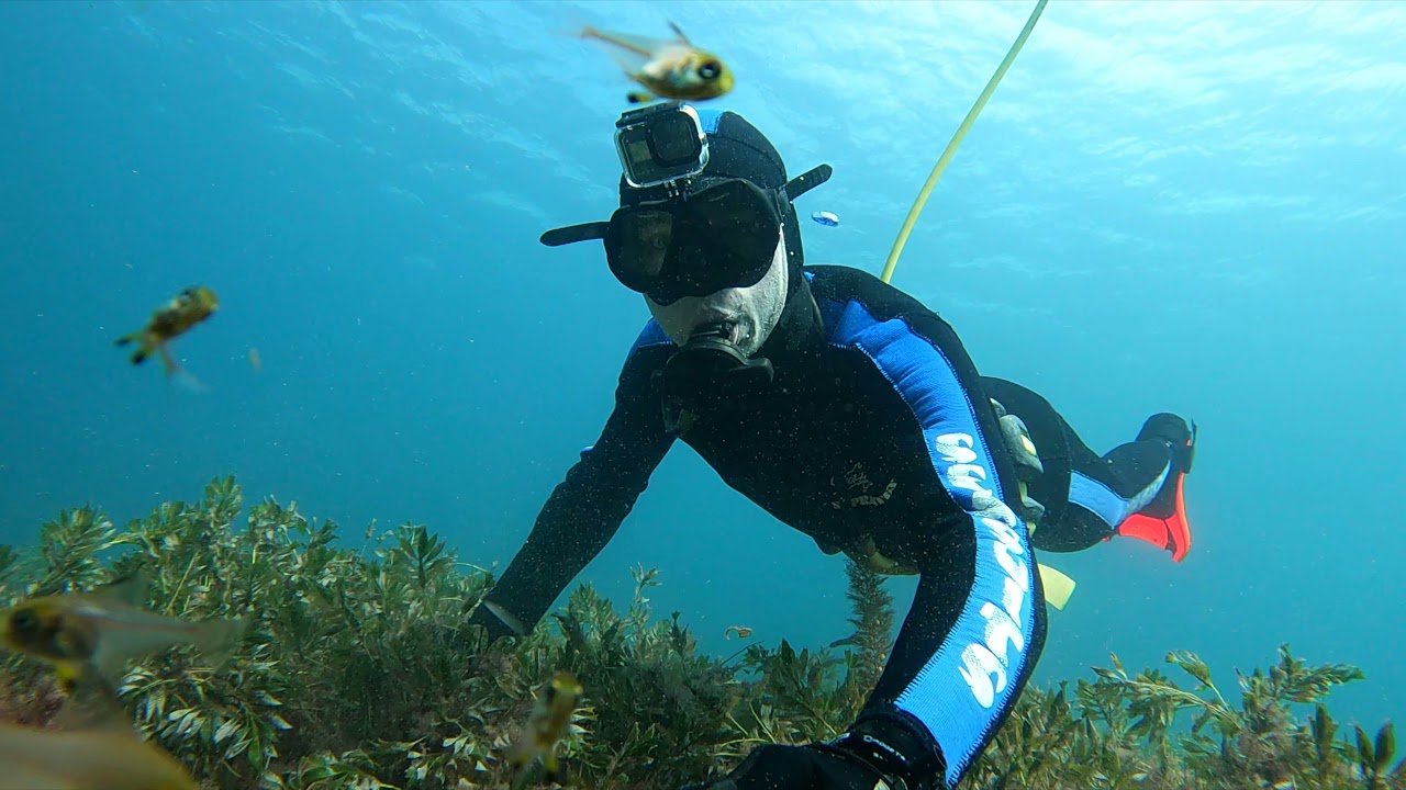 Super clear Tassie diving (Crayfish, sea life & Abalone) out of the new 1450 Stabicraft Explorer