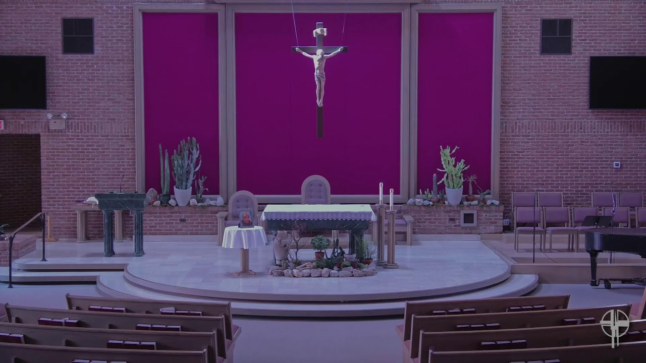 Corpus Christi Live