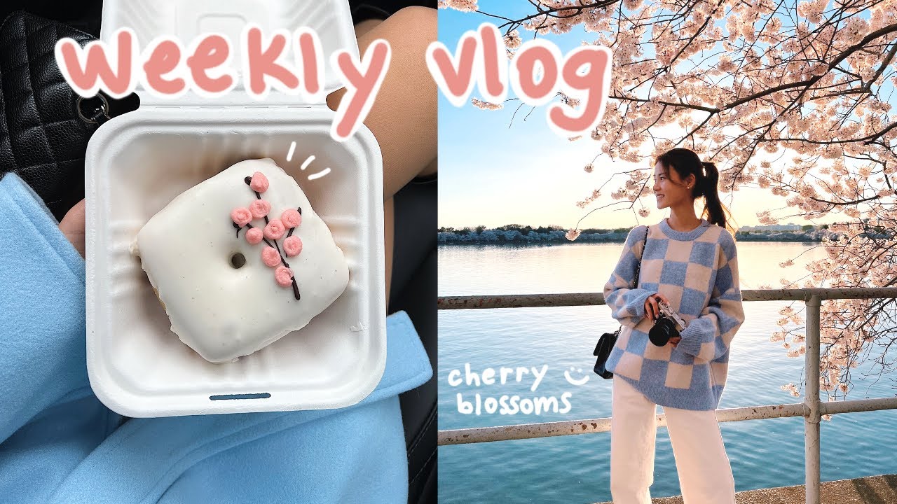 weekly vlog 🌸 home makeover, new furniture, DC cherry blossom festival, spring ootds, museums