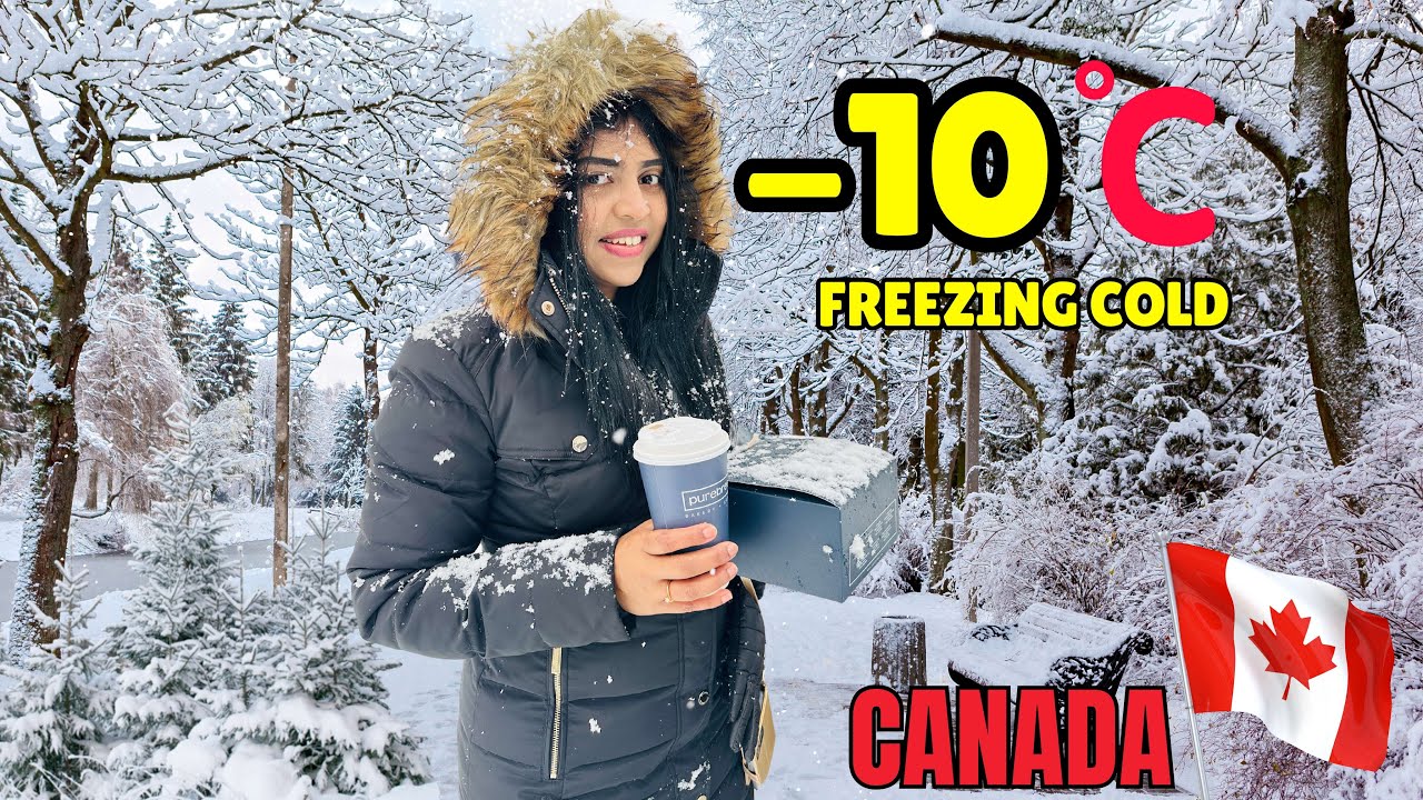 ☃️ ஒண்ணுமே தெரியல ! CANADA-வில் அப்படி ஒரு Heavy SNOWFALL | Whistler BC | Canada | USA Tamil VLOG
