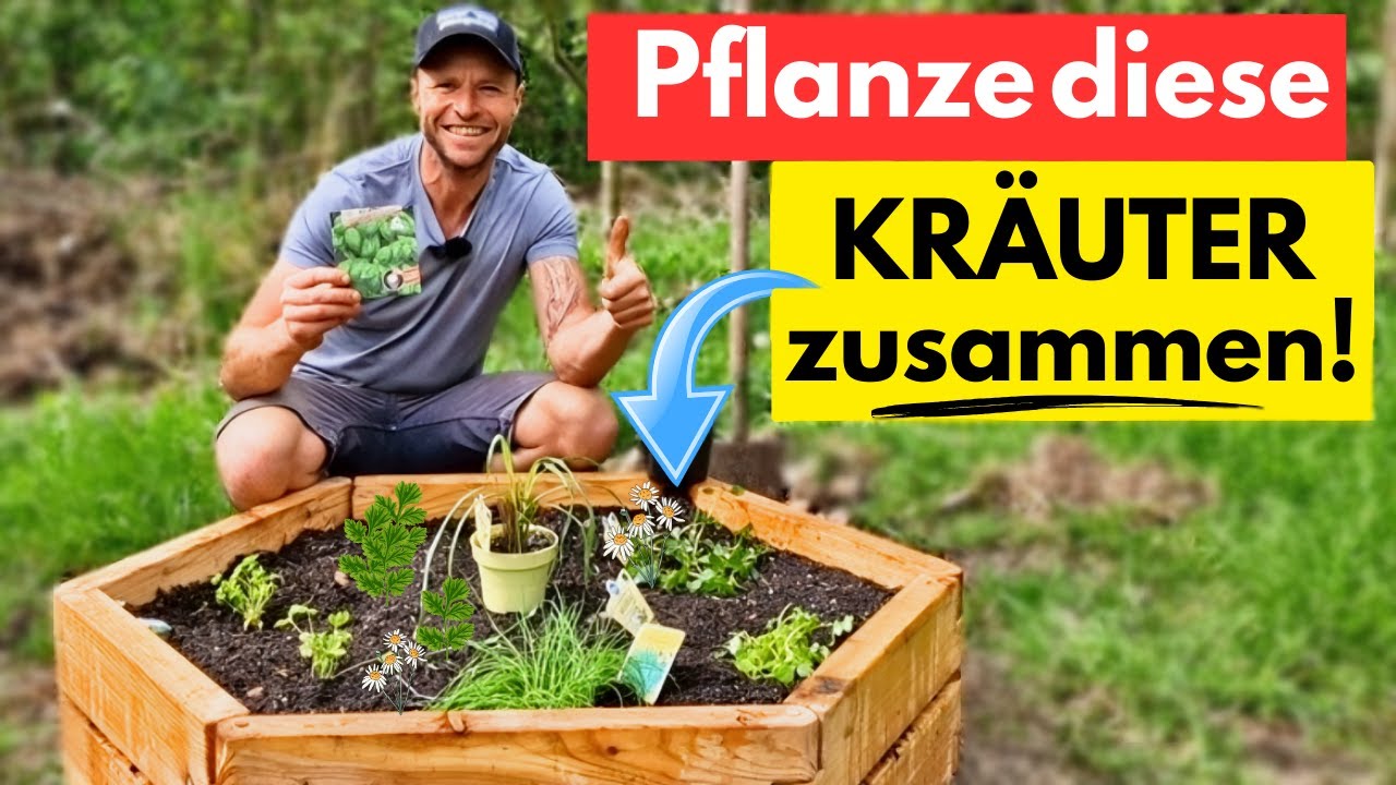 Das ULTIMATIVE Kr&auml;uterbeet f&uuml;r Balkon & Garten (mit Pflanzplan)!