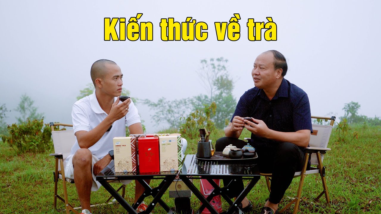 Trà hữu cơ và những lợi ích cho người dùng - Thẩm trà trong sương sớm