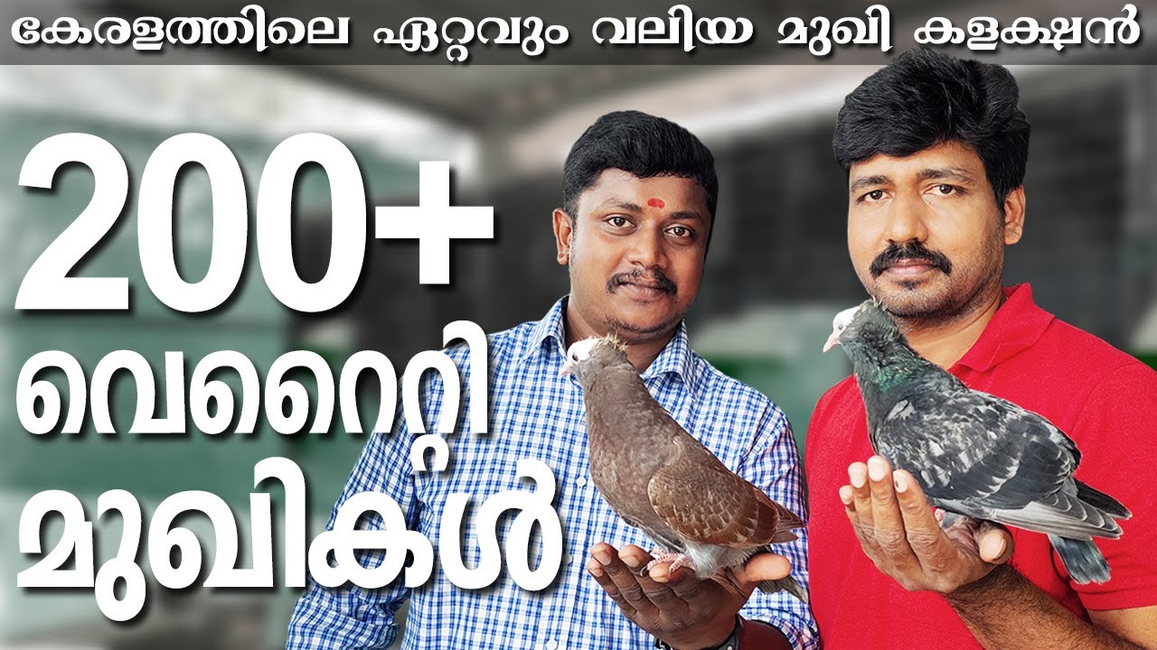 കേരളത്തിലെ ഏറ്റവും വലിയ മുഖി കളക്ഷൻ  200+  മുഖികളുടെ ഒരു പൊളിപ്പൻ  ലോഫ്ട് | Biggest Mukhi Collection