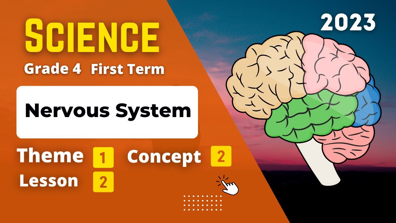 Grade 4 | Science | Unit 1 - Concept 2 - Lesson 2 | Nervous System