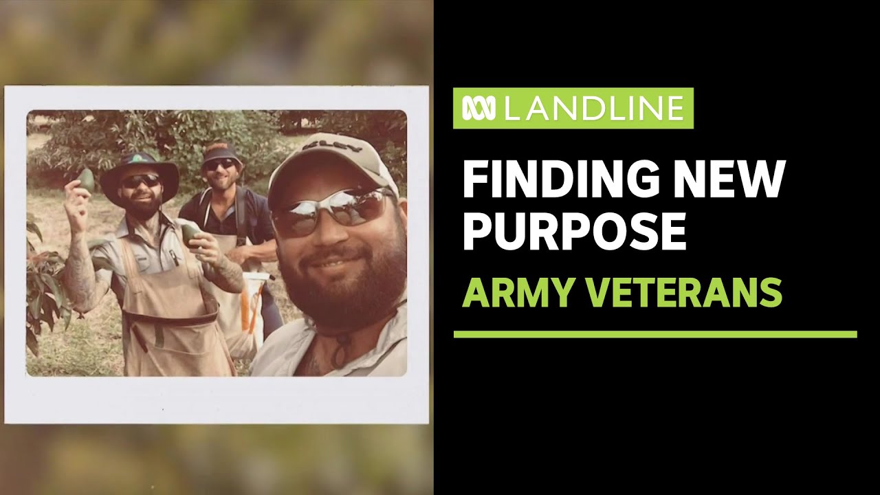 Army veterans soldiering on in agriculture as they find new purpose in farming | ABC News