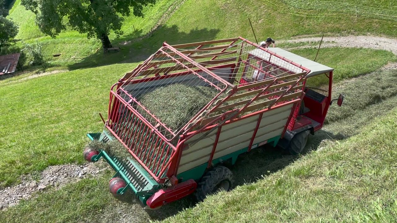 Eierschwand Ruogig Kanton Uri