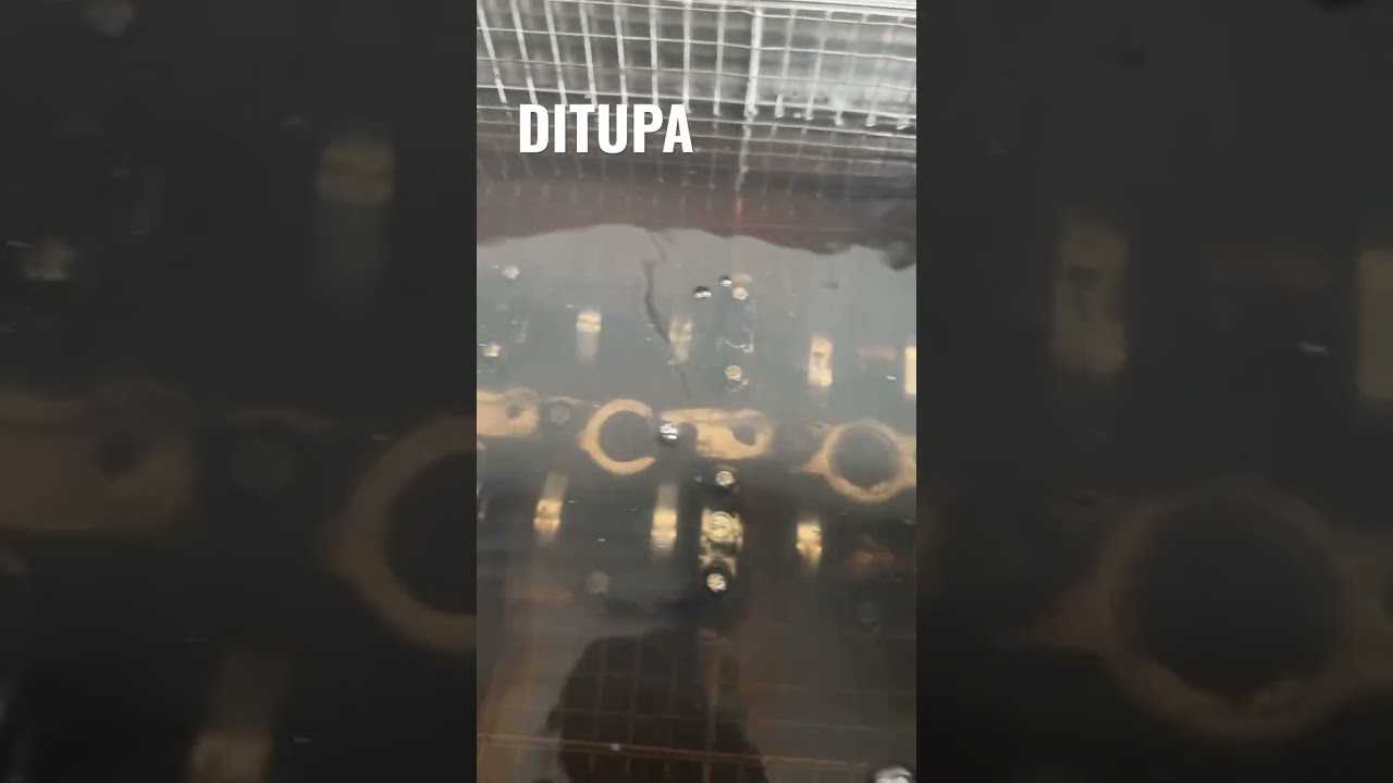 DITUPA Engine build process N47