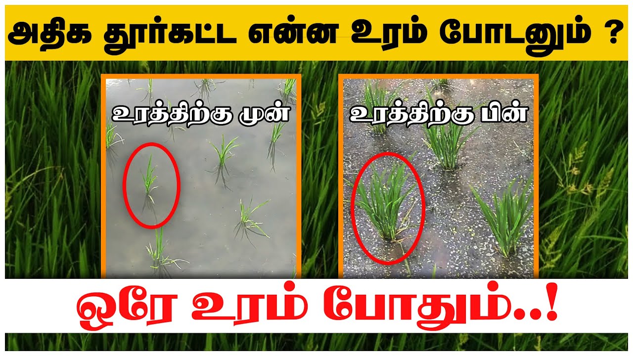 200 ரூபாய் செலவு பண்ணா போதும், அதிக தூர் கட்ட ? | TCG |