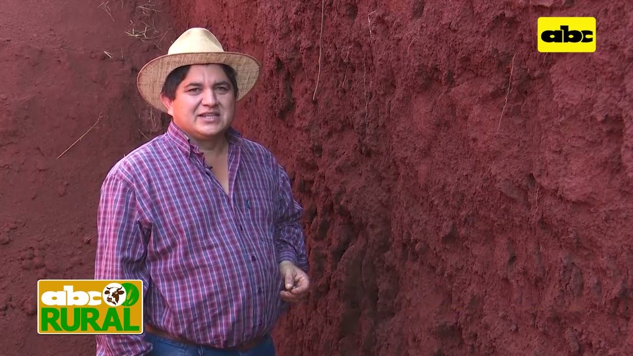 Abc Rural: Calicata de Pasto brachiaria ruziziensis y recuperación de suelo