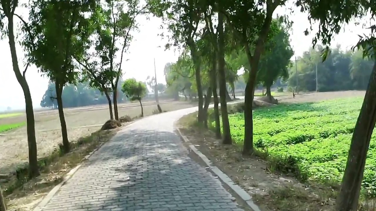 বাংলার প্রকৃতি,জনপদ 