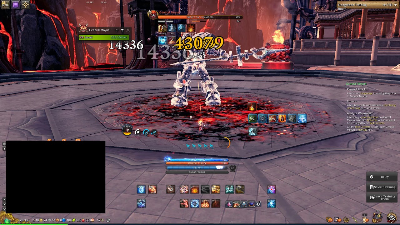 BnS Fire Gunner DPS Test