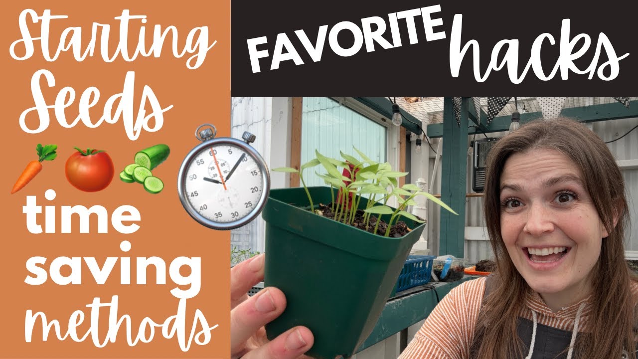 Favorite seed starting methods | TIPS and HACKS for time-saving and success