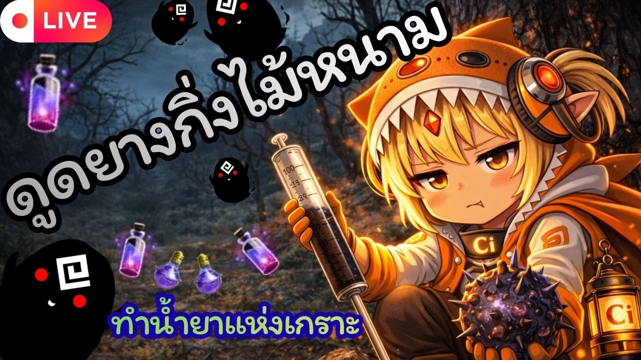 ดูดยางกิ่งไม้หนาม ! หายากกว่ายางก็ต้นยางเนี่ยแหละ | Black Desert🛑 LIVE 418