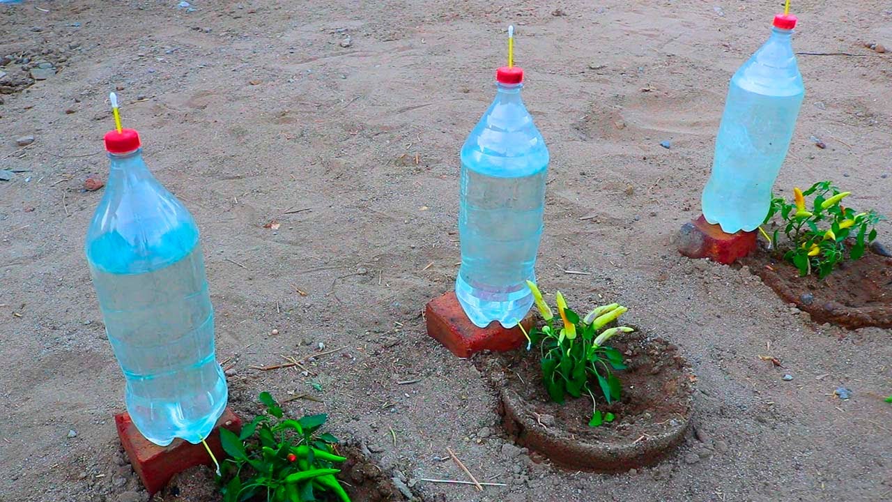 Como hacer Riego por Goteo con botellas de plastico para 15 dias de goteo lento.