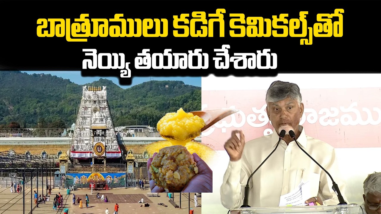 Chandrababu Naidu Alleges Adulteration in Tirupati Laddu Ghee Using Bathroom Cleaning Chemicals