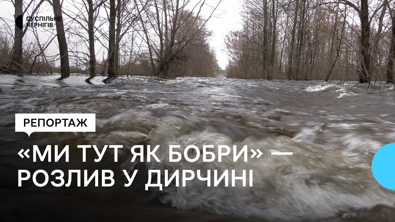 Перевозять людей, доставляють їжу і ліки: як допомагають жителям Малого Дирчина, де підтопило дорогу