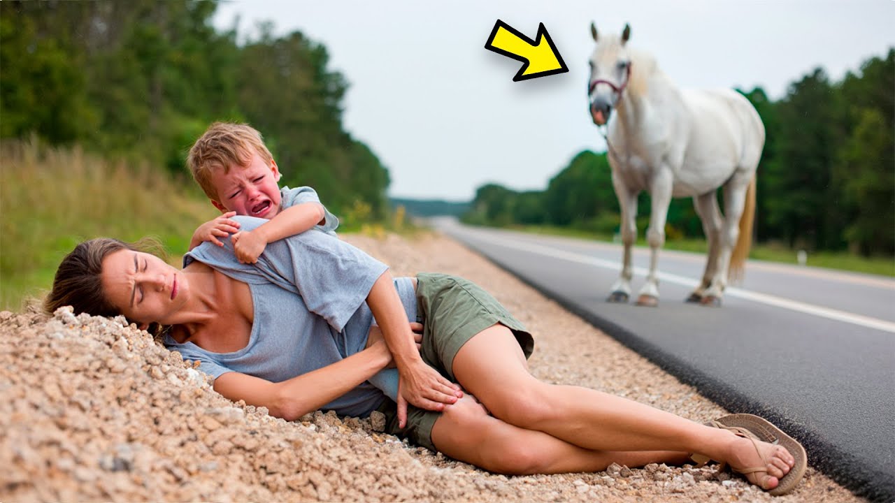 HOMEM RICO ATROPELA MÃE SOLTEIRA e seu FILHO na ESTRADA, mas o que o CAVALO faz depois…