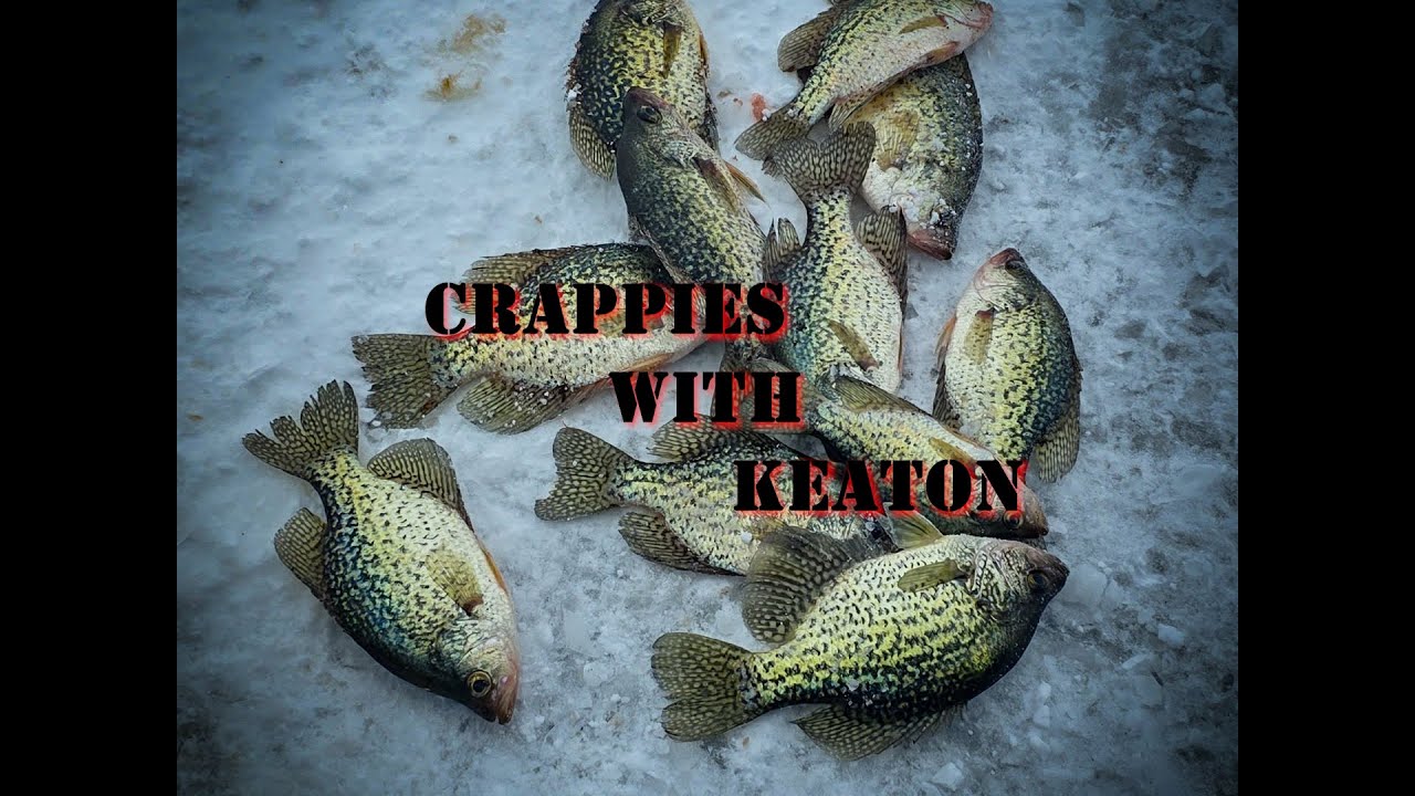 Crappies With Keaton