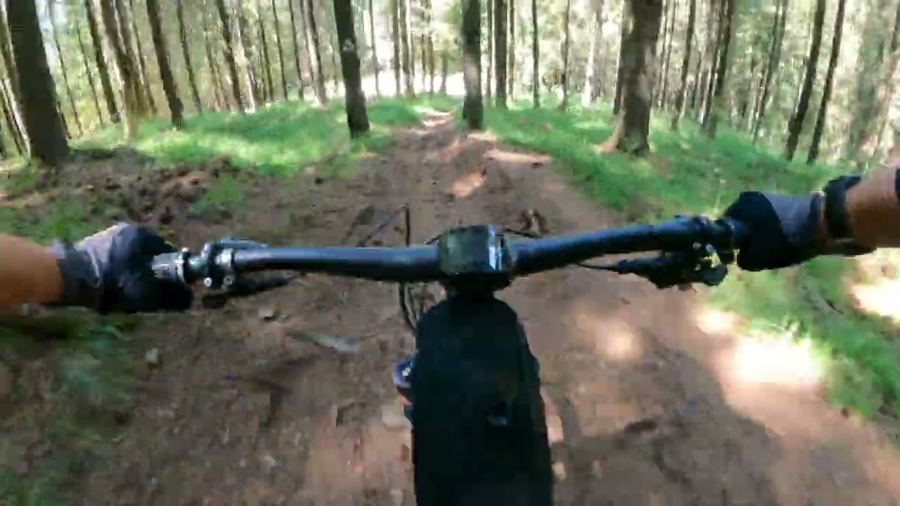 Paltinis MTB Trails: Releu si Rollercoaster