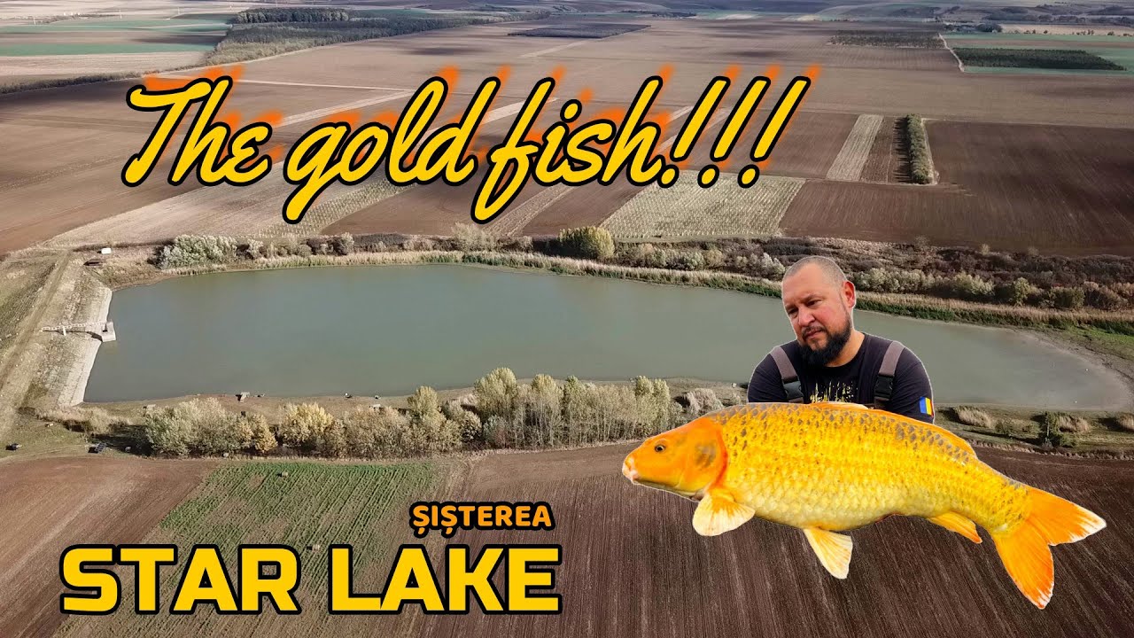 Star Lake · Șișterea by Rappa FK