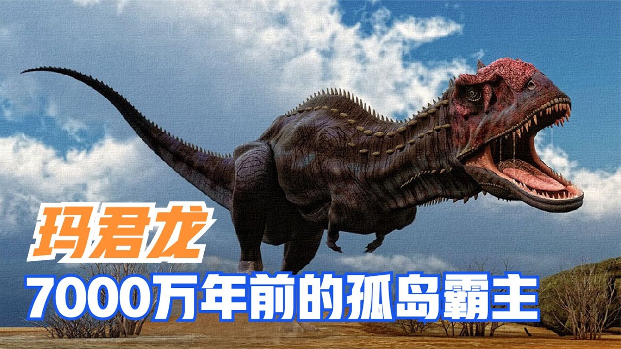 7000万年前孤岛暴君，恐龙时代最后的杀手，玛君龙到底有多可怕｜Majungasaurus【马丁新视界】