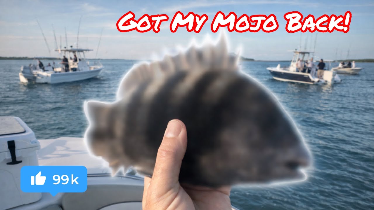 Got My Mojo Back! - Fishing Marco Island With Live Shrimp