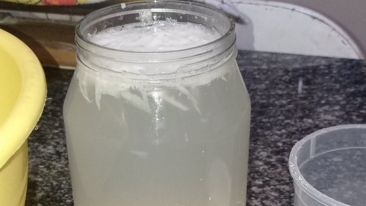 Fermento natural de Batatinha sem segredos muito fácil