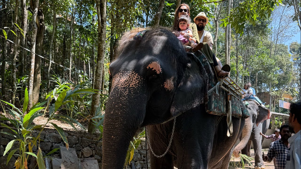 Blanket Dayz Thekkady || Resort & Spa || Resort Tour || Room Tour || UK - Kerala - Hyderabad ||