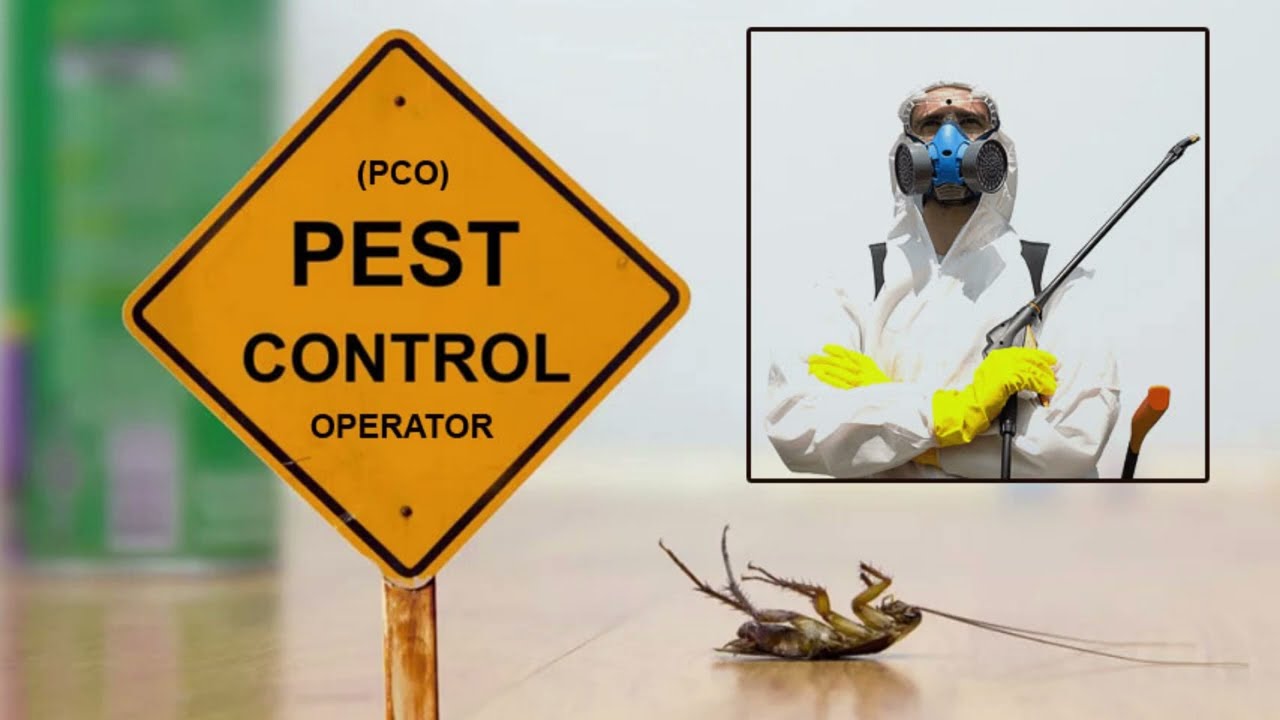 What Is Pest Control Operator(PCO)?