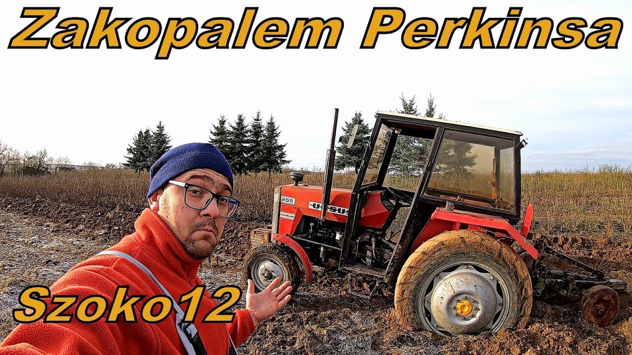 Obornik i Orka Perkinsem [Vlog#225] Ursus Zakopał się? Musisz to zobaczyć