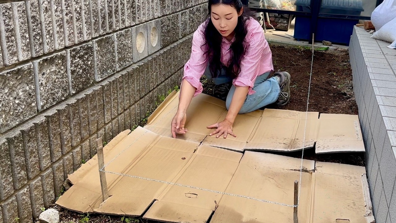 畑がなくてもできる？庭の小さなスペースで耕さない農業をはじめます