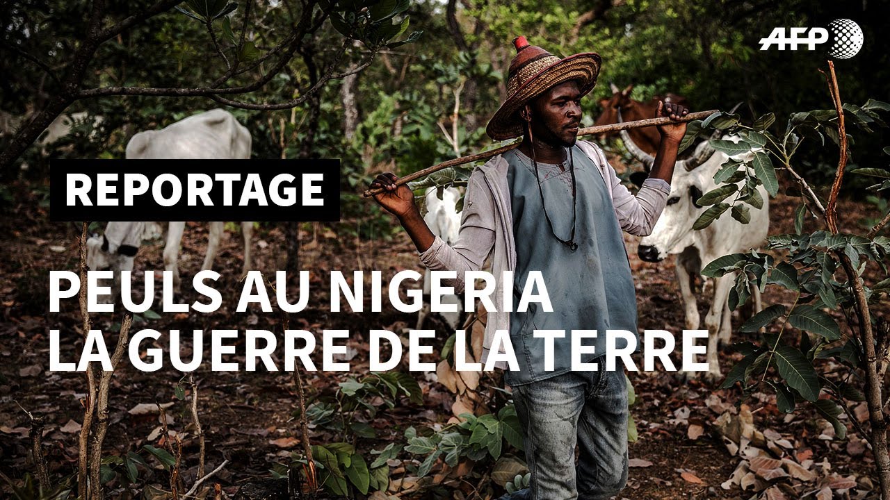 Les Peuls, Chapitre I: la guerre de la terre | AFP Reportage