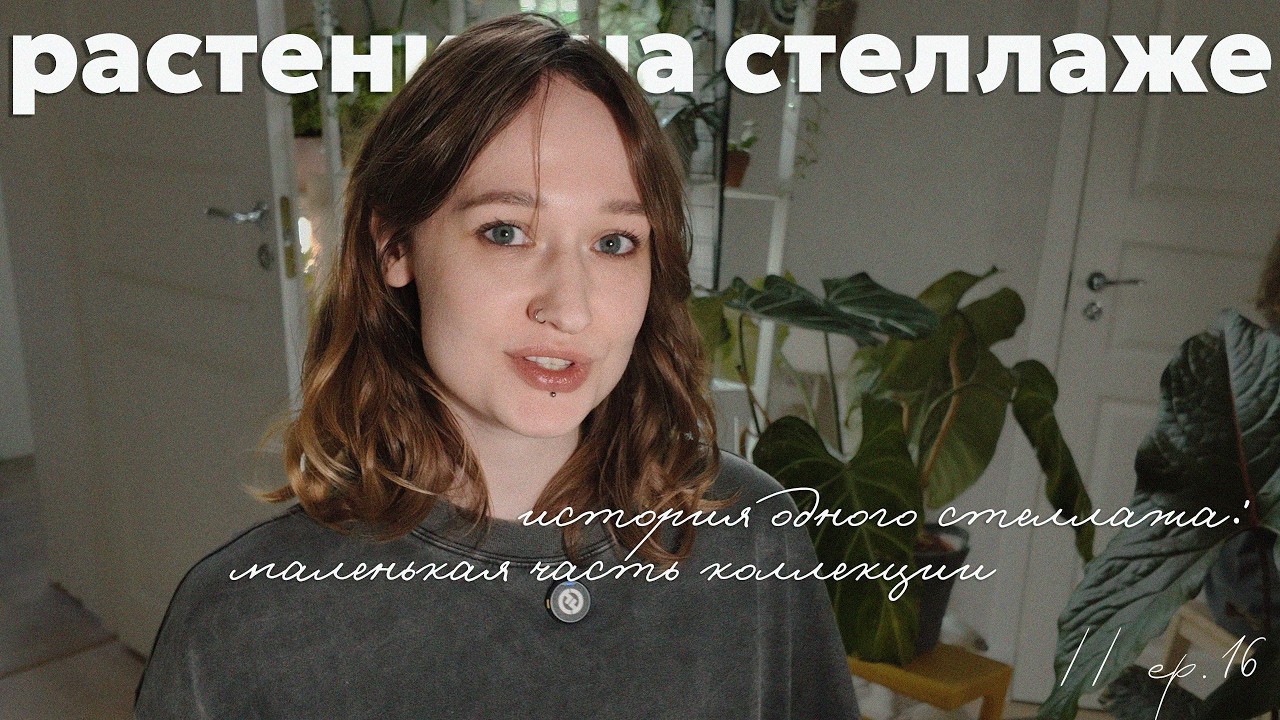 небольшая часть большой коллекции: обзор растений на стеллаже // ep. 16
