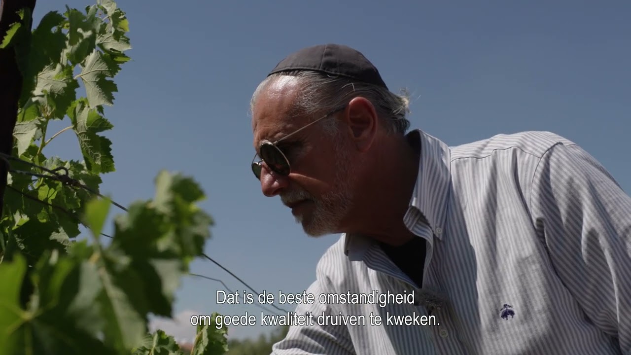 Hevron Heights Winery