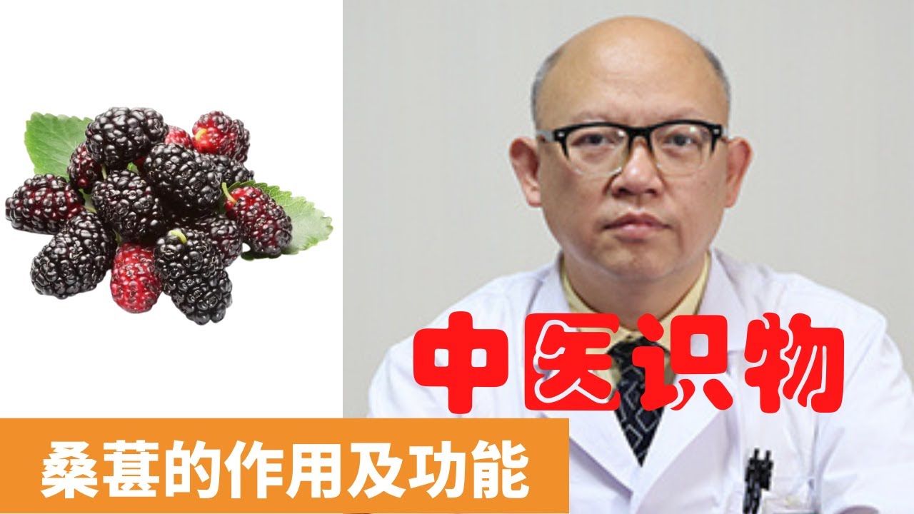 桑葚的作用及功能【保健養生】生生不息