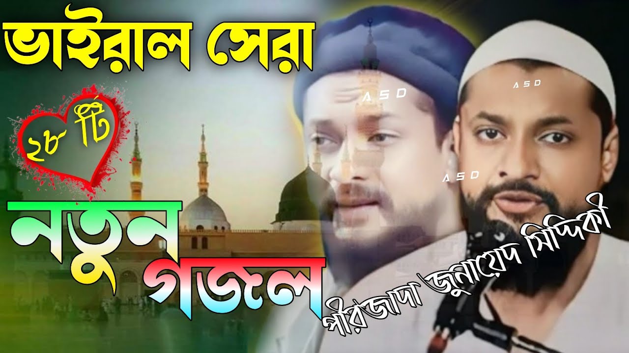 পীরজাদা জুনায়েদ সিদ্দিকী ভাইজান ভাইরাল সেরা//২৭টি//২০২৫ নতুন ভাইরাল গজল 
