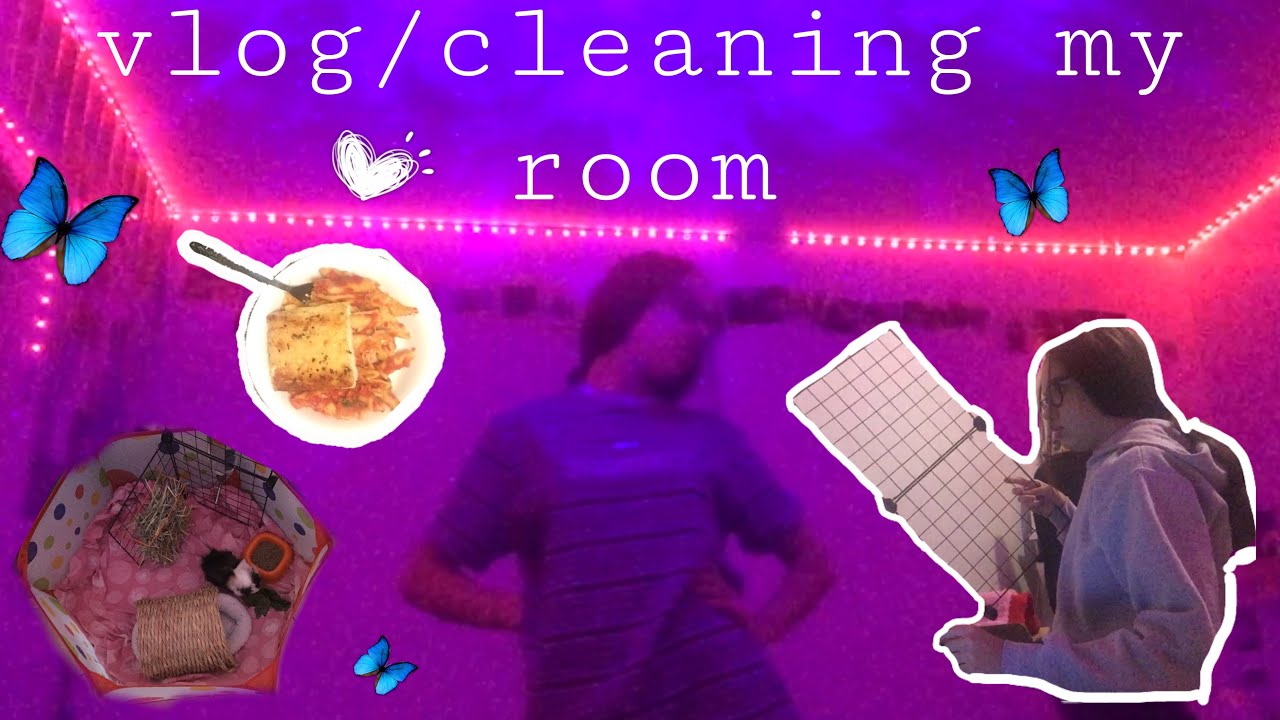 VLOG/CLEAN WITH ME *into the new year* | Haley WC