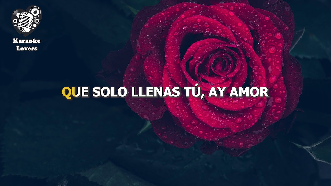 TE REGALO UNA ROSA   KAROKA   JUAN LUIS GUERRA BACHATA DE AMOR