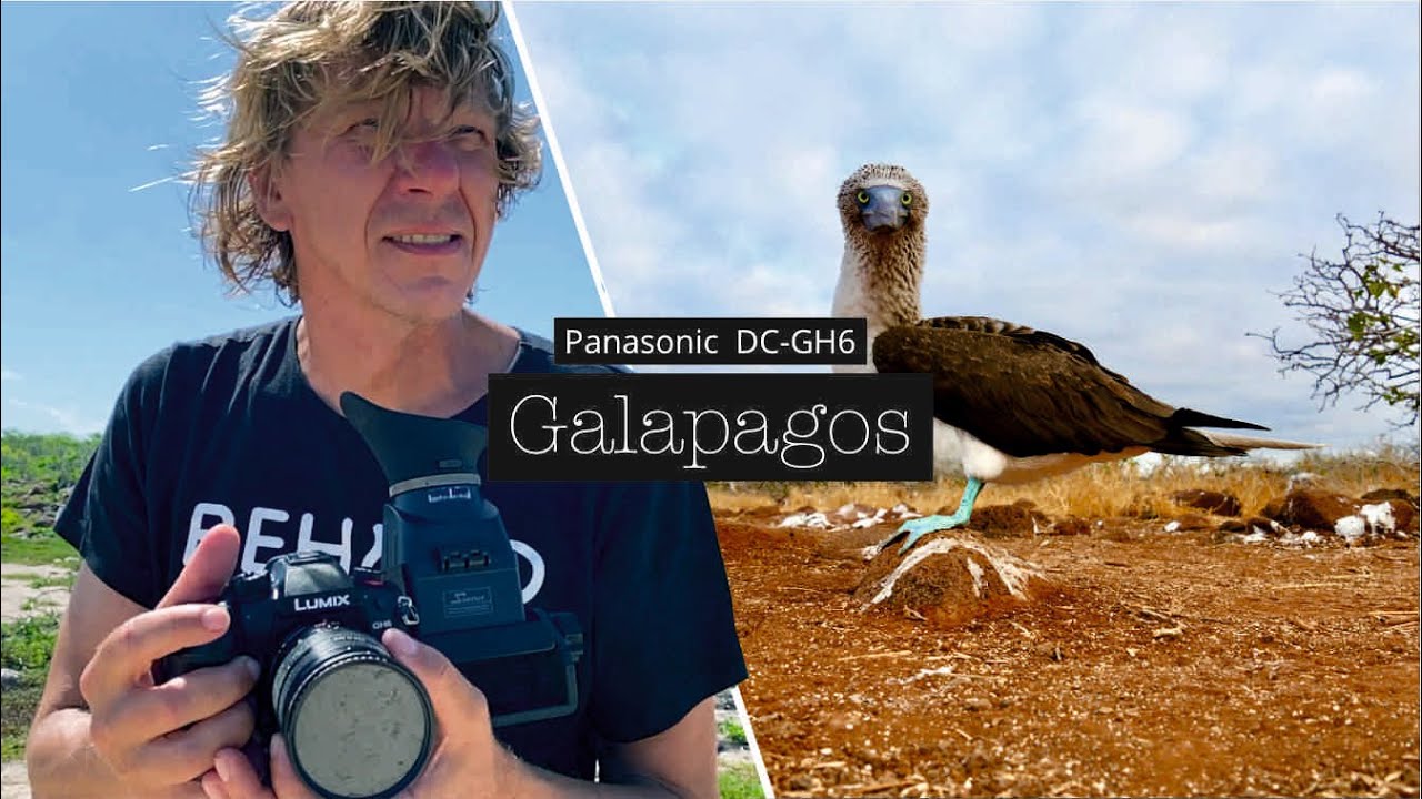 Galapagos Wildlife - Impressions in slow motion taken with the new Panasonic-Lumix GH6
